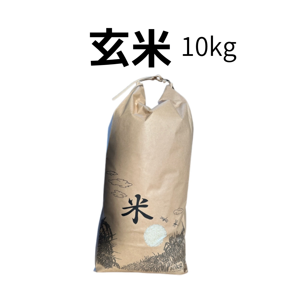 玄米 10kg の商品画像
