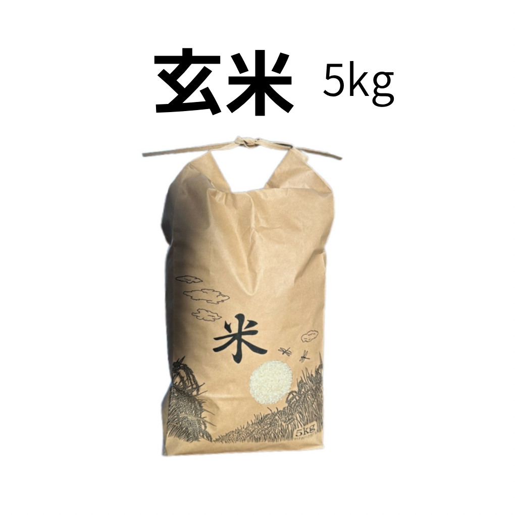 玄米 5kg の商品画像