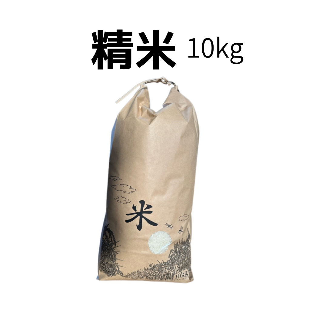 精米 10kg の商品画像